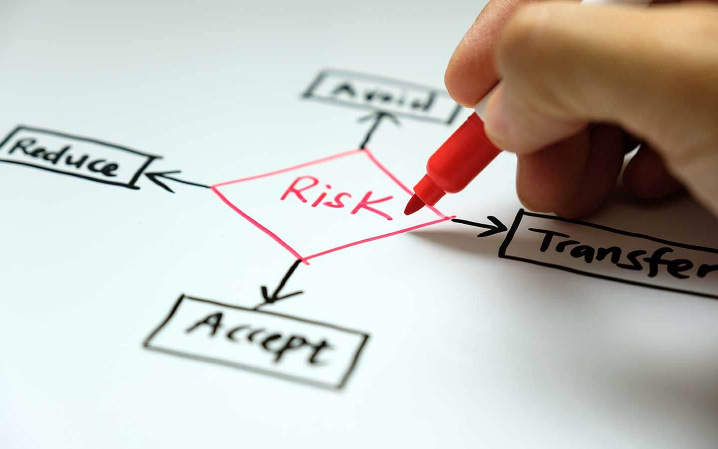 Mitigating Risks and Identifying Flaws