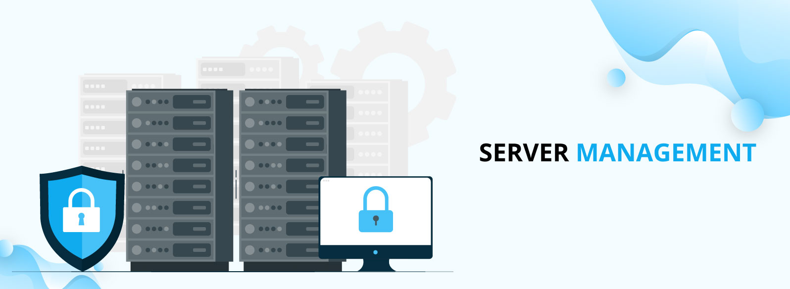 Server Management and DevOps